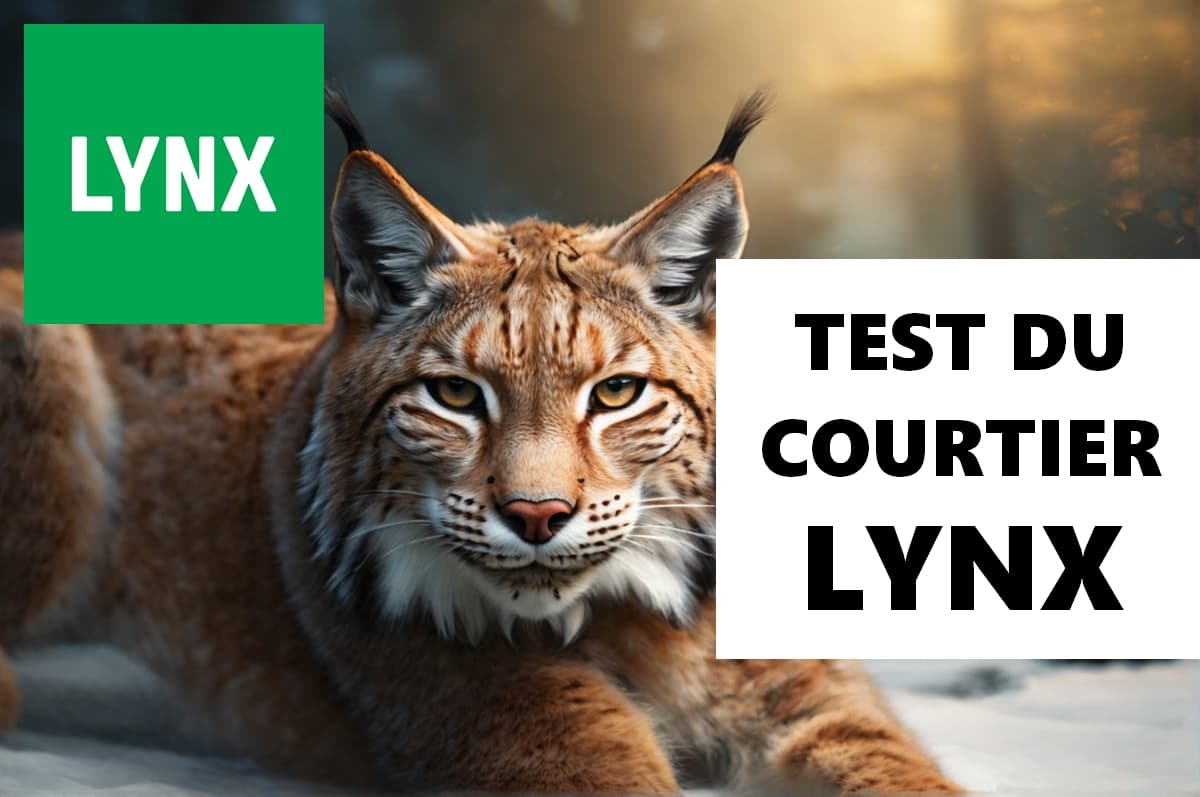 Courtier Lynx : Qu'en Penser? Mon Avis Et Les 10 Avantages De LYNX BROKER