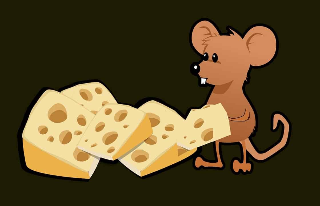 3 Astuces Pour Quitter La Course Des Rats