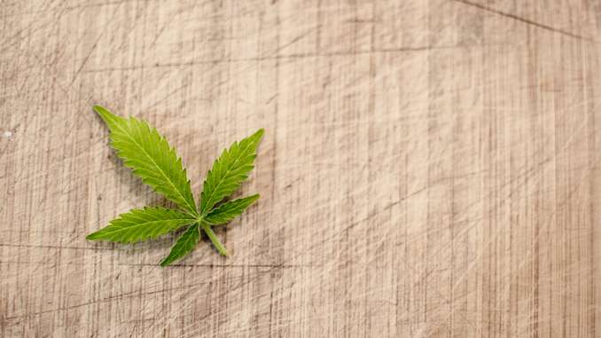 L'Investissement Dans Le Cannabis Va-t-il Flamber En 2019?