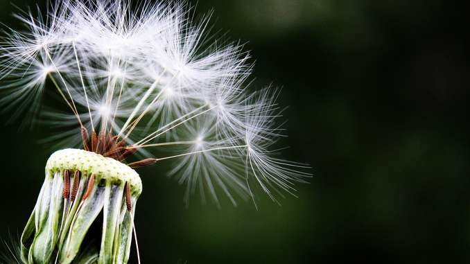 Analyse Et Avis Sur La Biotech Asit