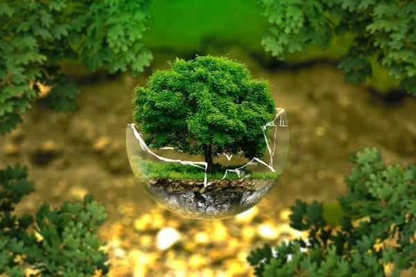 10 Actions Vertes Pour Investir Dans La Transition Écologique