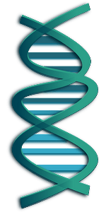 L'ADN est un des domaines étudié par les biotechs belges