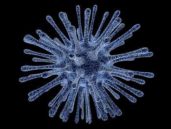 Pour le moment, le Coronavirus est un simple virus comme celui-ci...
