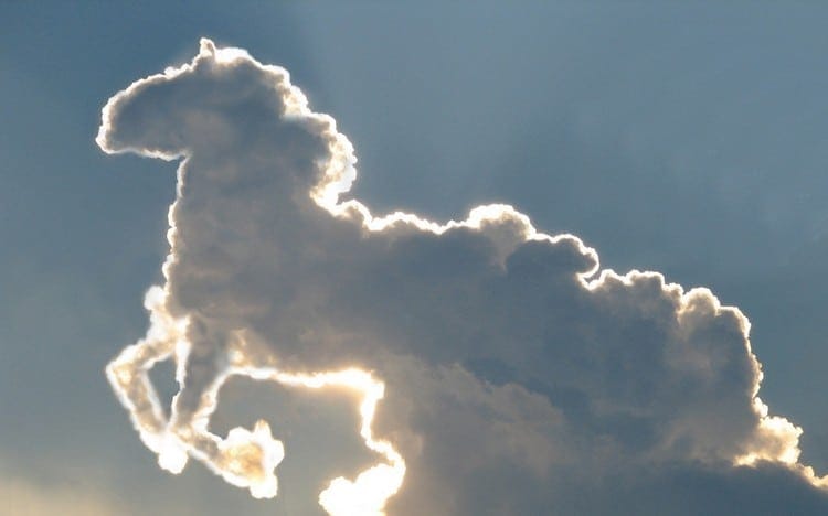 Une jolie paréidolie dans un nuage, comme on peut en voir dans un graphique en analyse technique