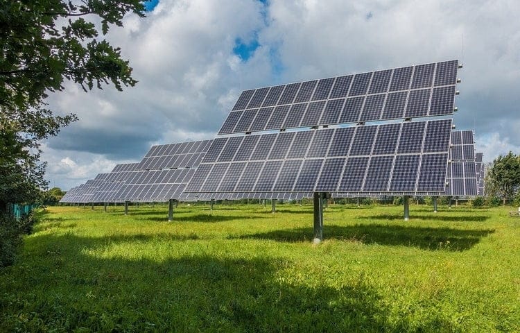 Des panneaux solaires dans une prairie.